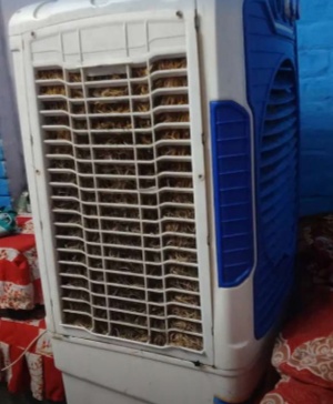 Cooler for sale