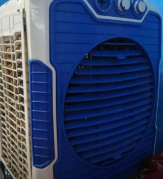 Cooler for sale