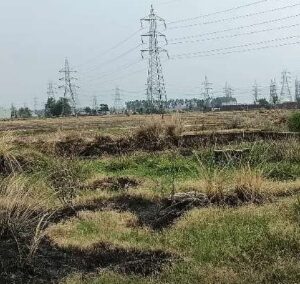 Plot for sale