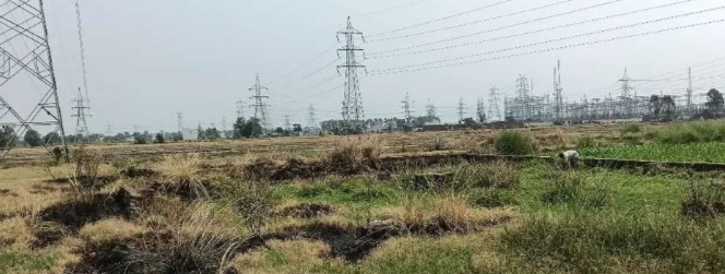 Plot for sale