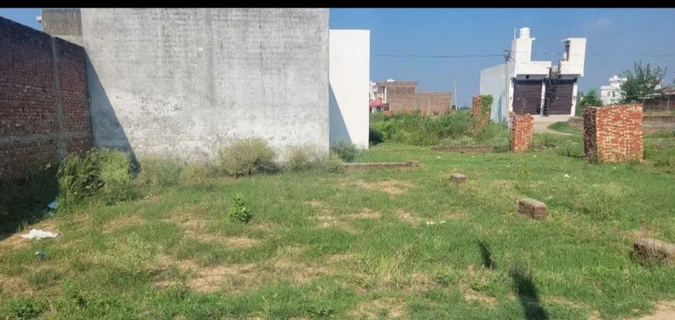 Plot for sell