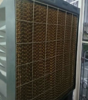 Air cooler sale