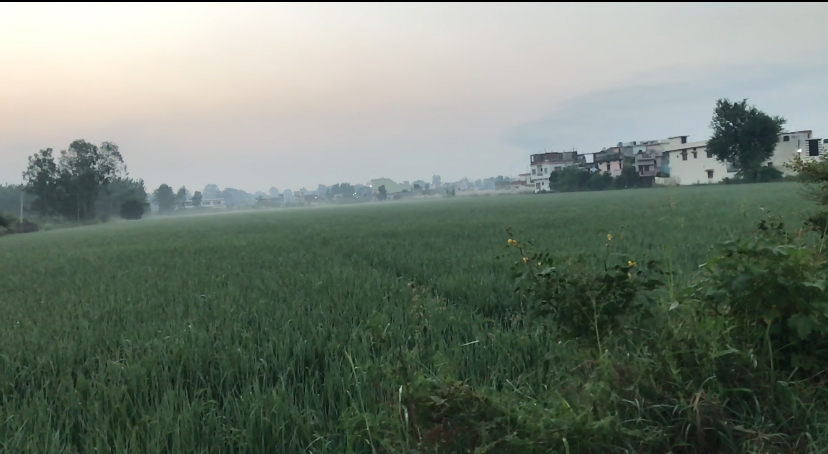 Agriculture land for sale