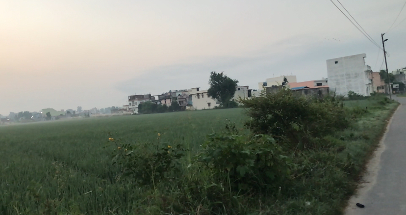 Agriculture land for sale
