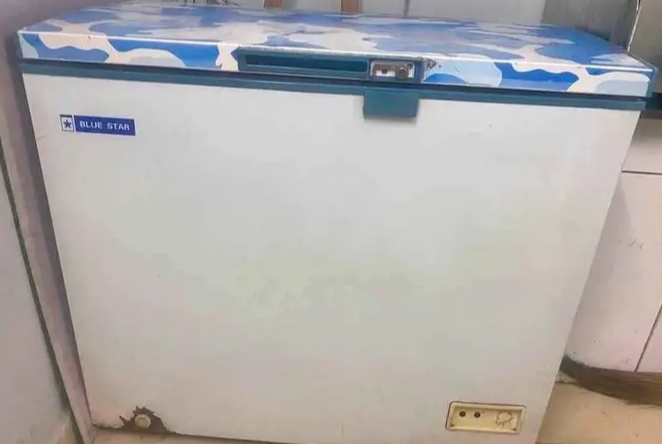 Deep freezer