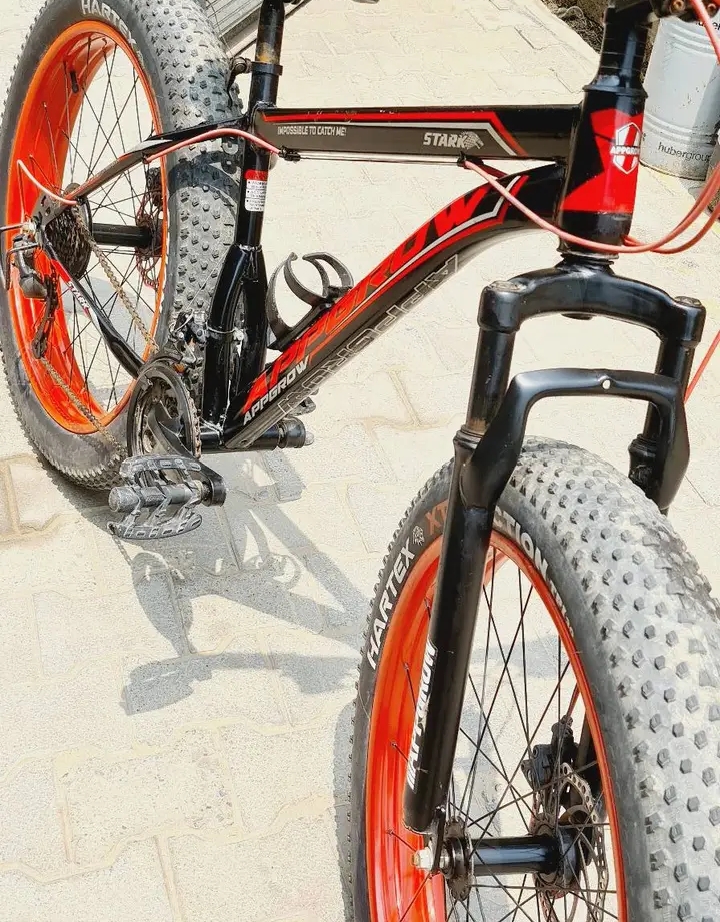 Fat Tyre cycle