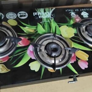 Gas stove
