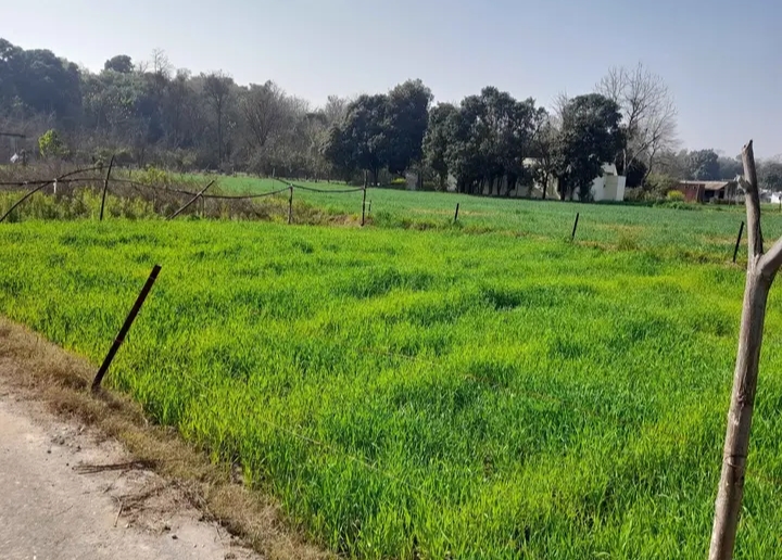 Land for sale