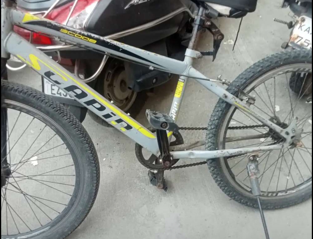 Cycle