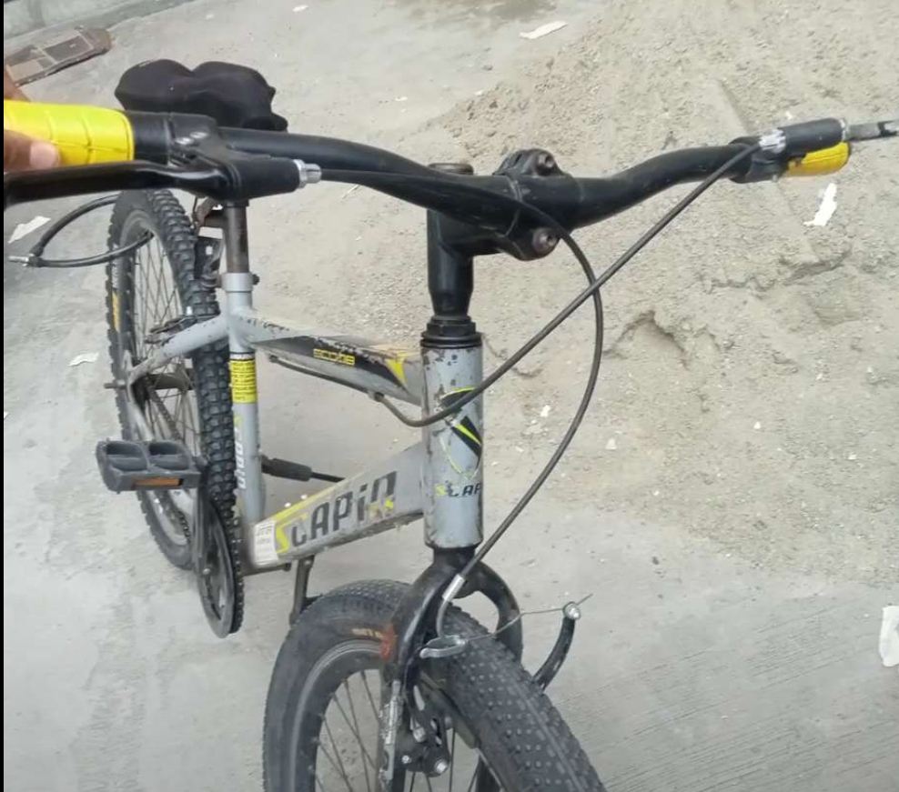 Cycle