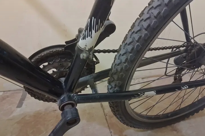 Gear cycle