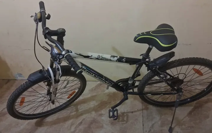 Gear cycle