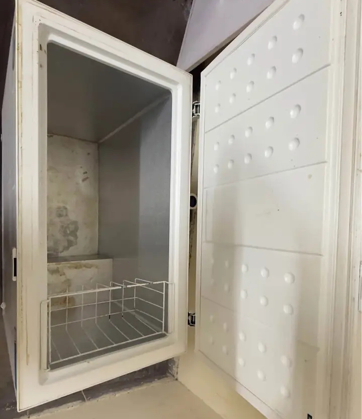 Deep freezer