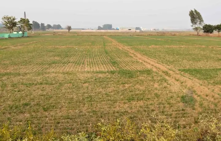 Land for sale