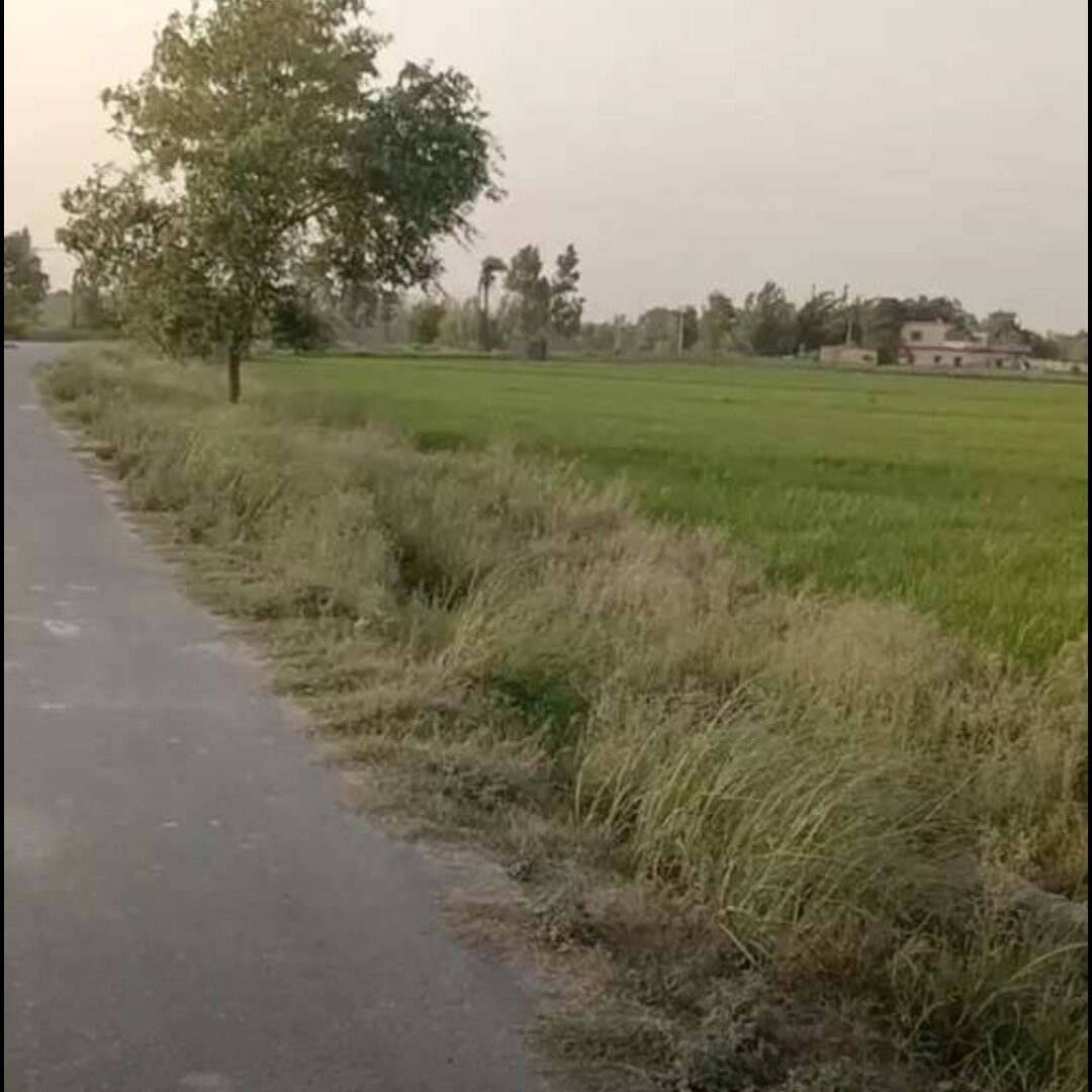 Plot for sale