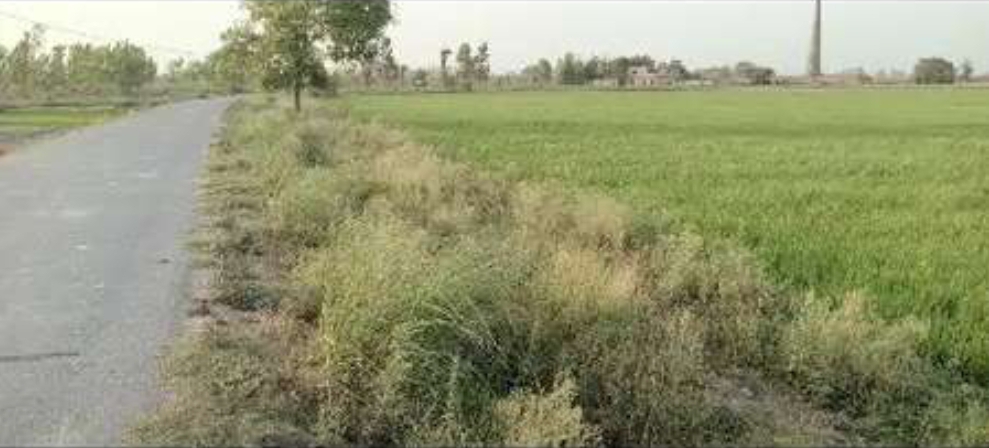 Plot for sale