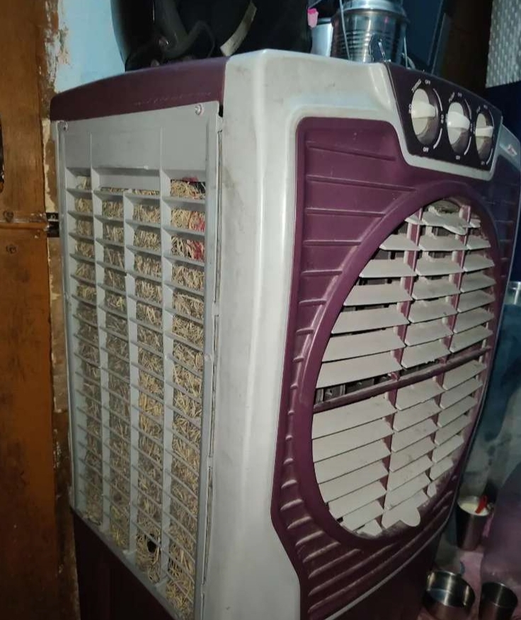 Cooler
