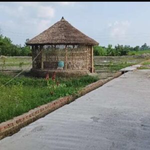 Plot for sell