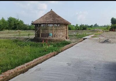Screenshot_2025-06-25-09-47-42-958_com.olx_.southasia-edit