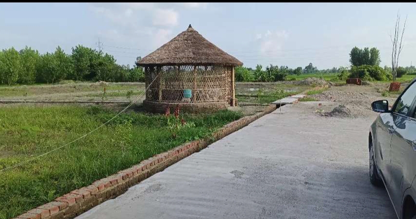 Plot for sell