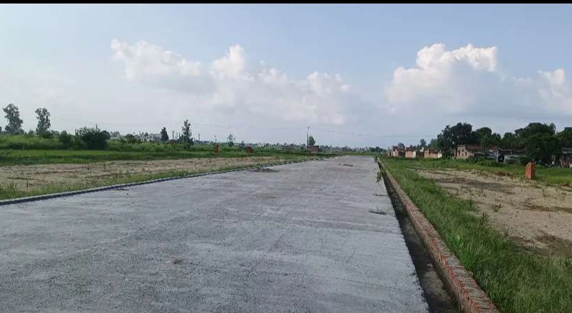 Plot for sell