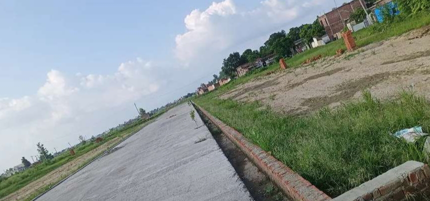 Plot for sell