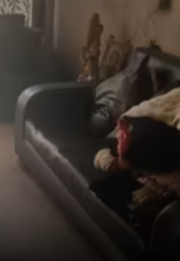 Sofa
