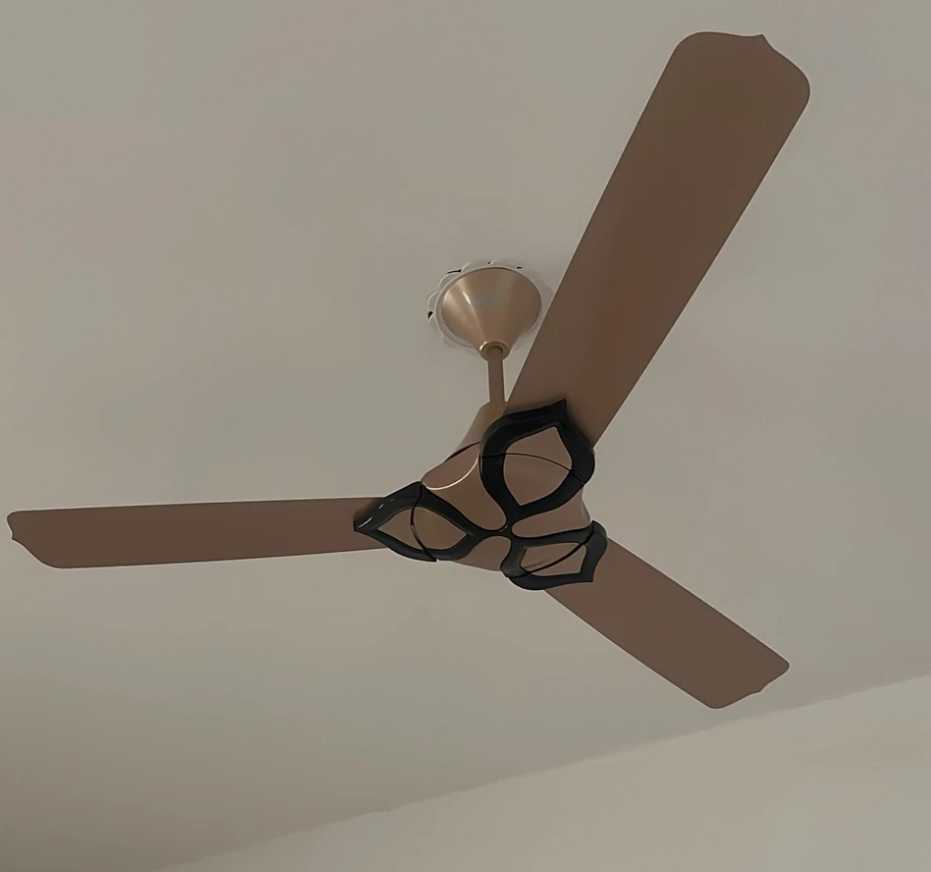 Fan