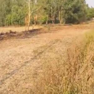 Plot for sale
