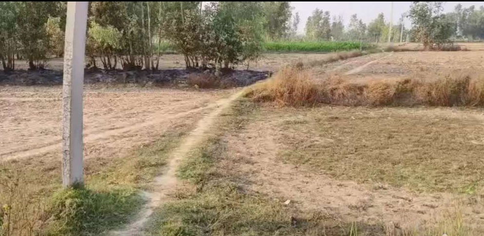 Plot for sale