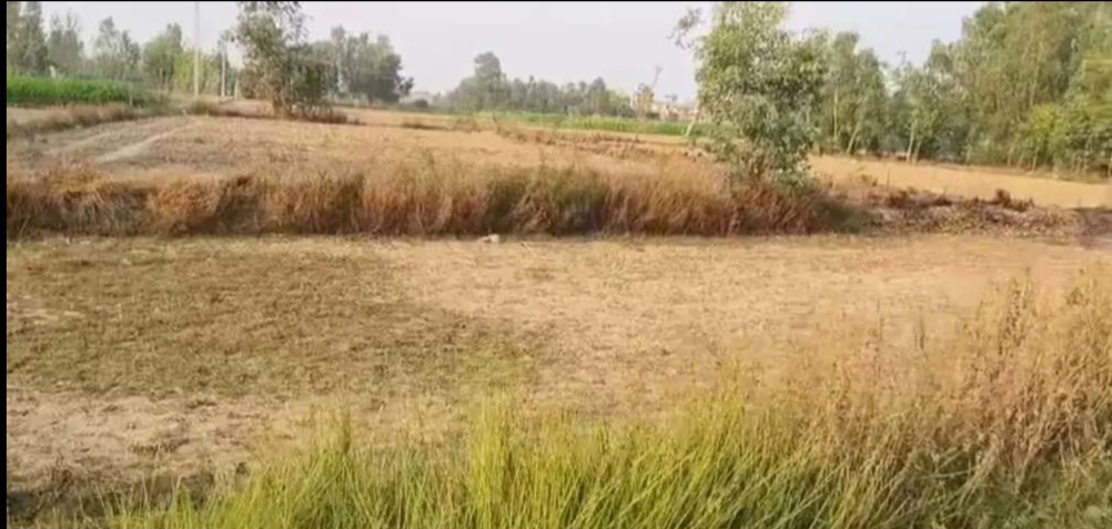 Plot for sale