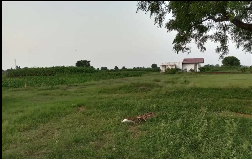 Plot for sale