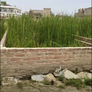 Plot for sale