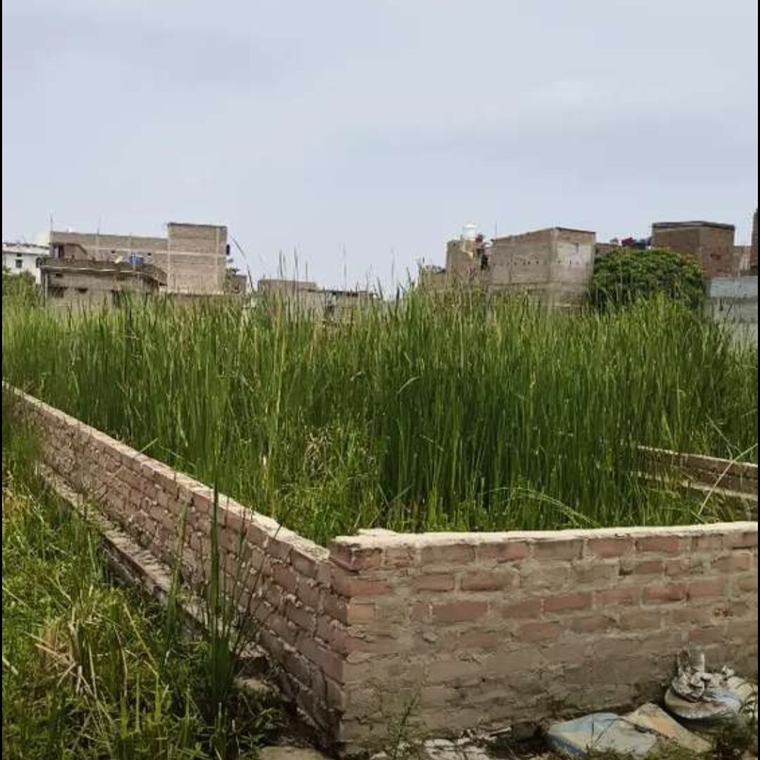 Plot for sale