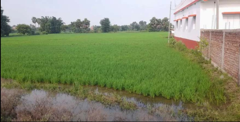 Plot for sale