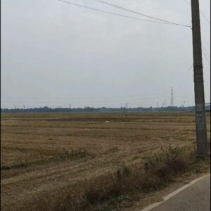 Plot for sale