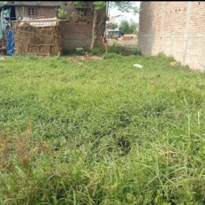 Plot for sale