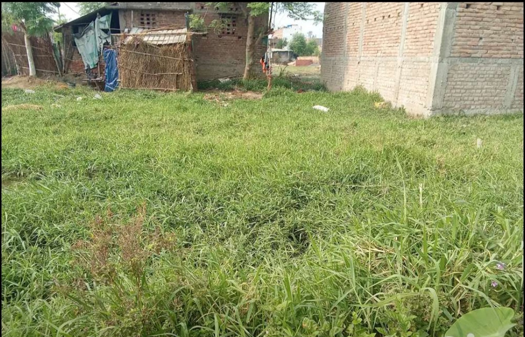 Plot for sale