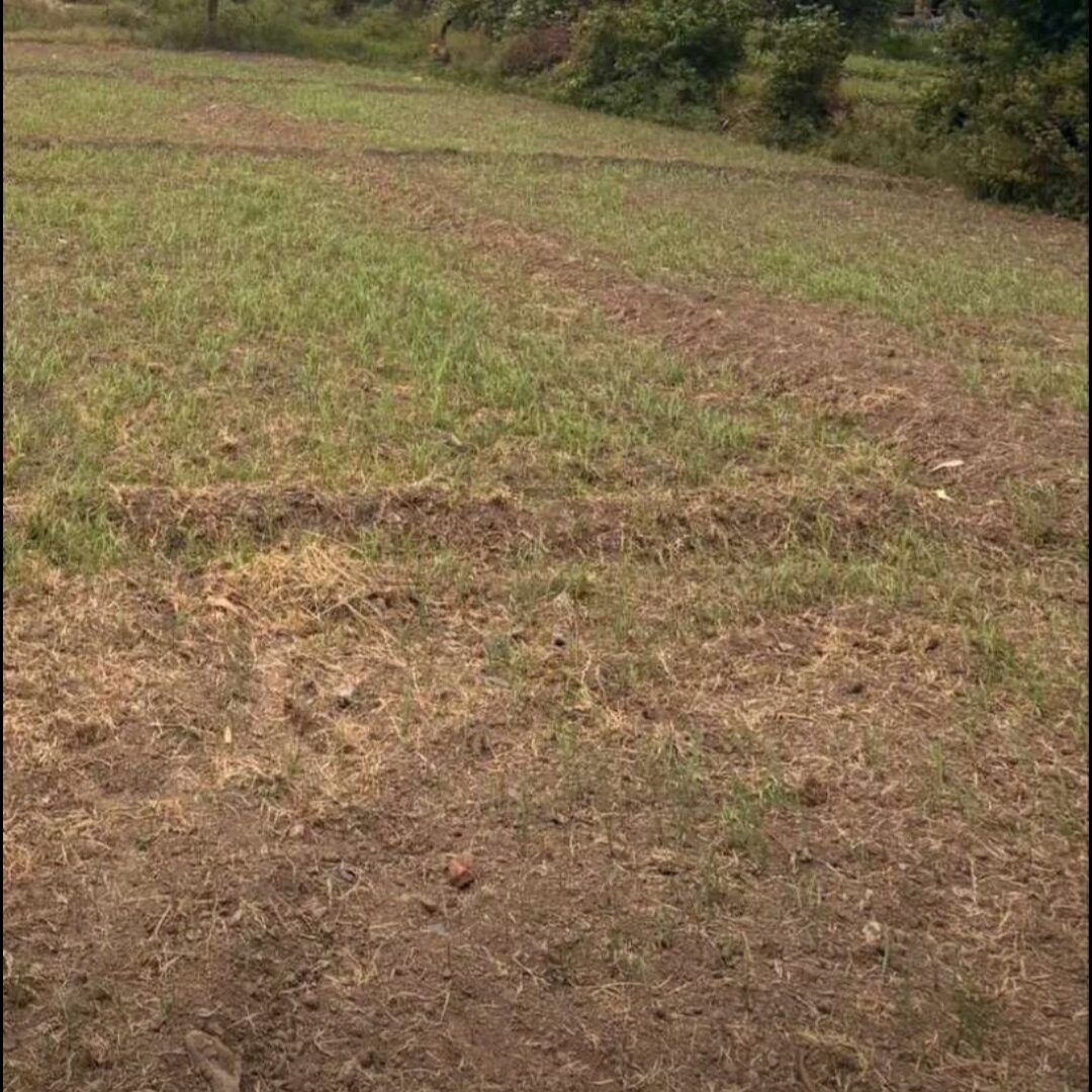 Plot for sale