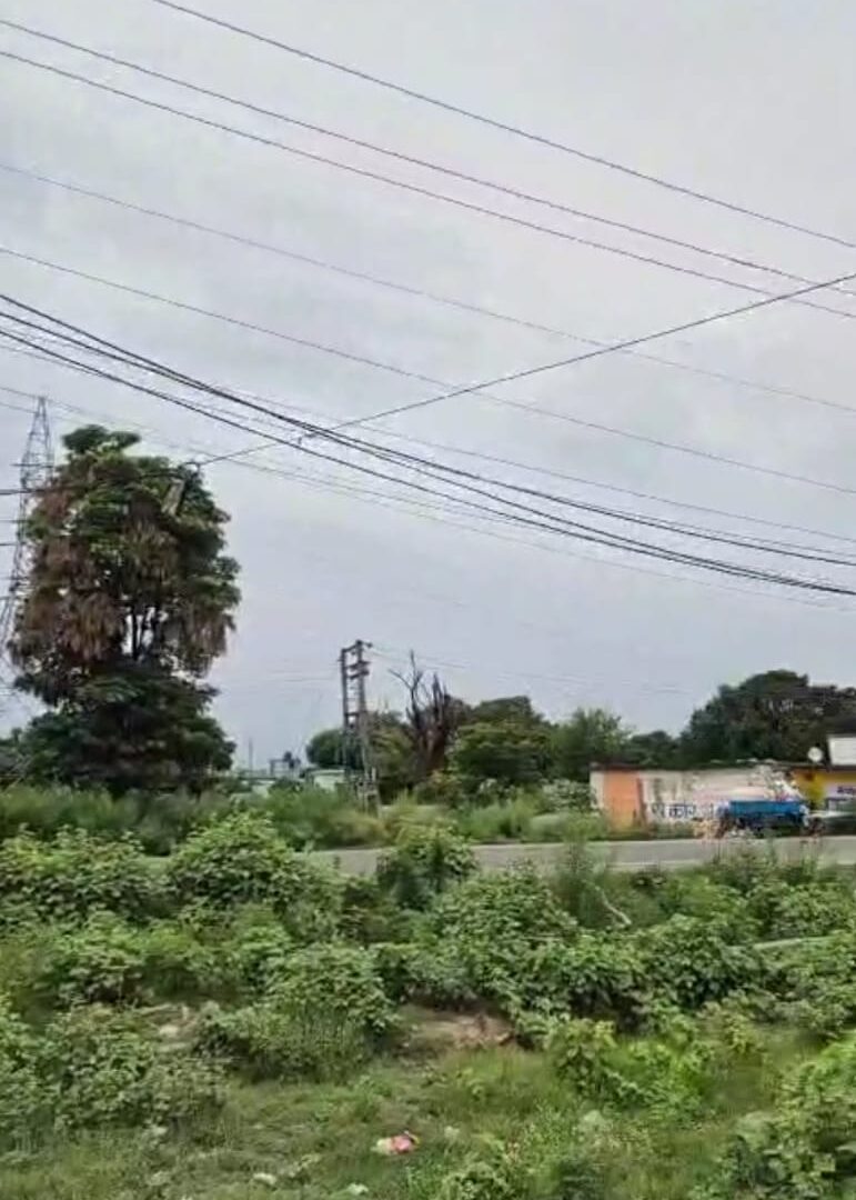 Plot