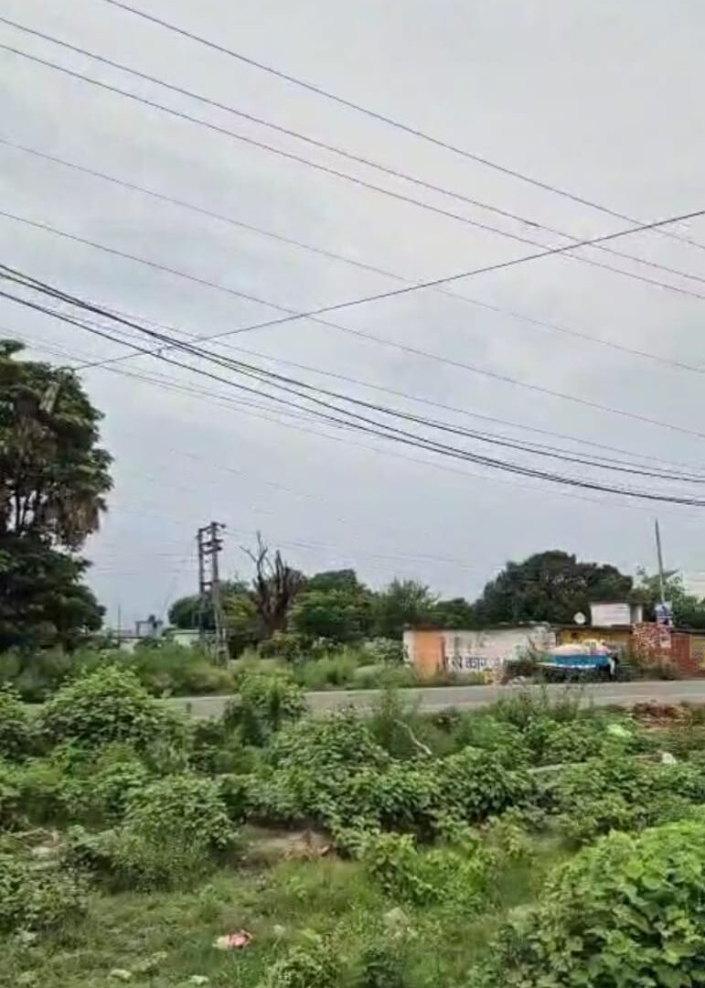 Plot