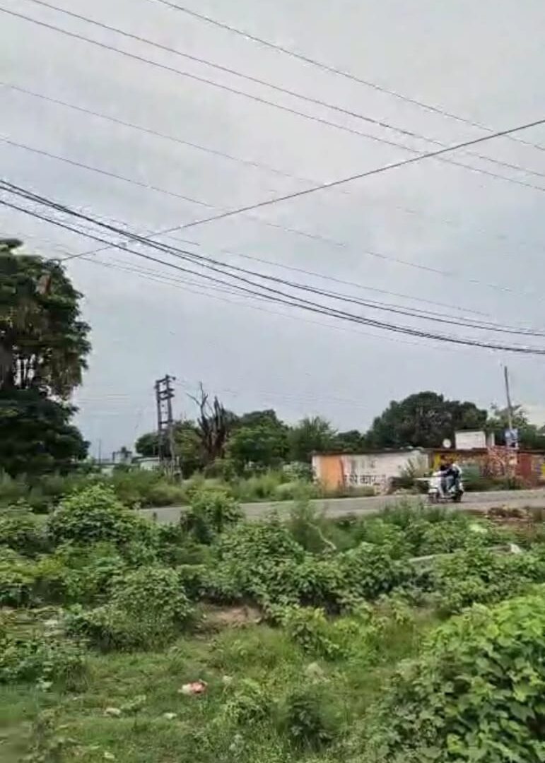 Plot