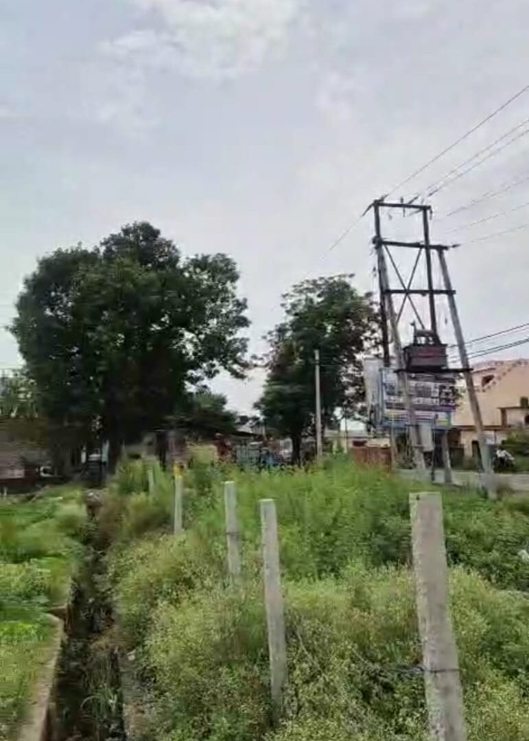 Plot