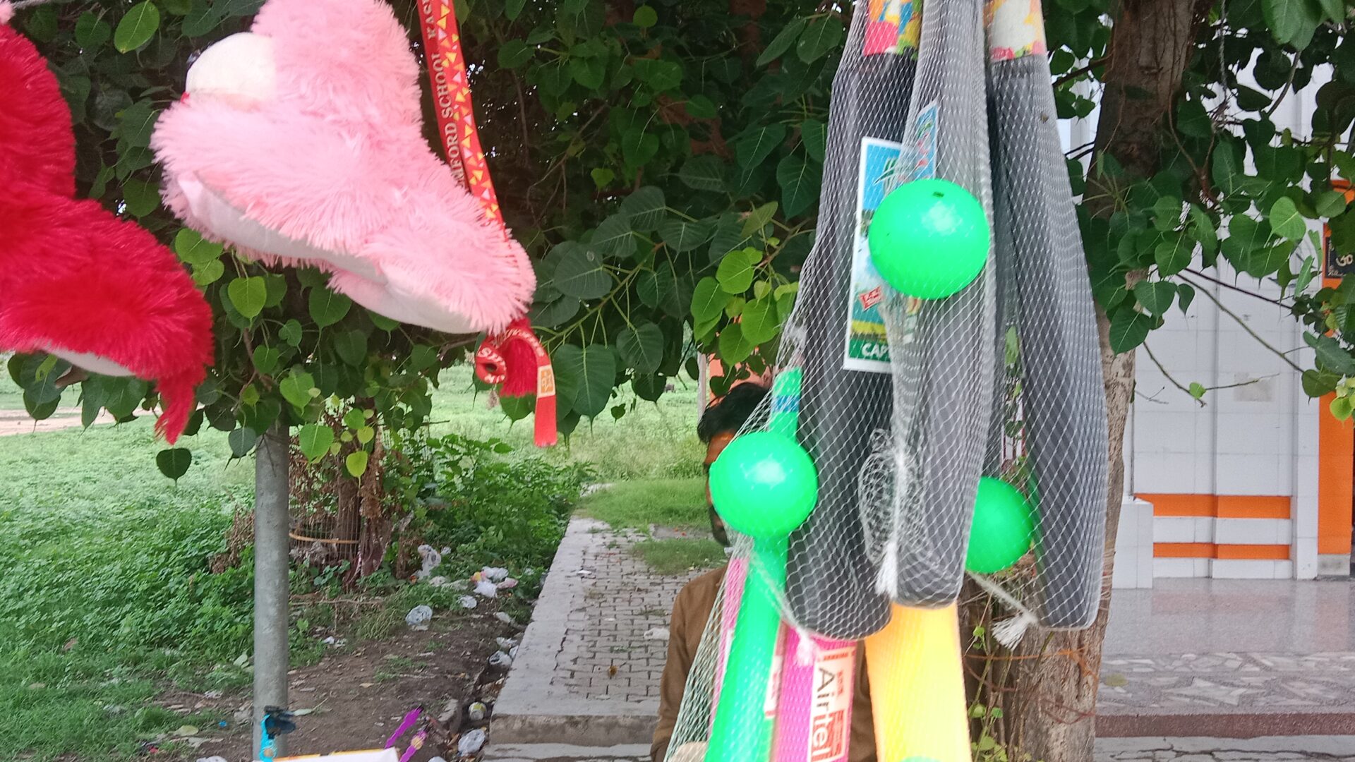 Bats