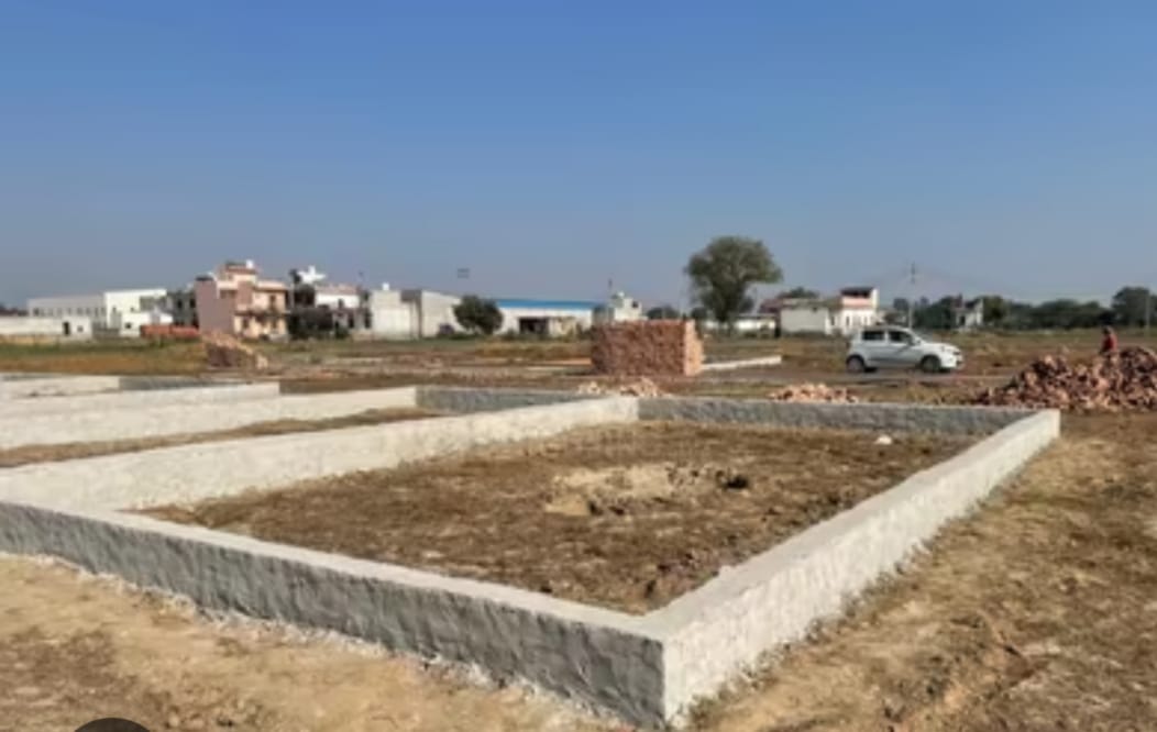 Plot