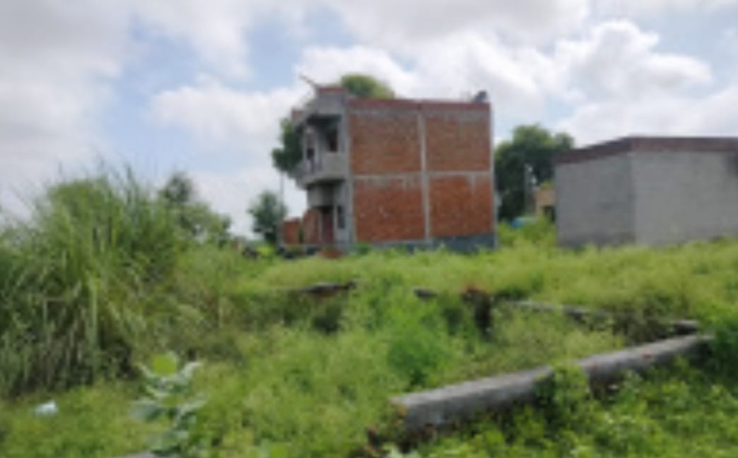 Plot