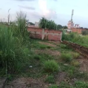 Plot