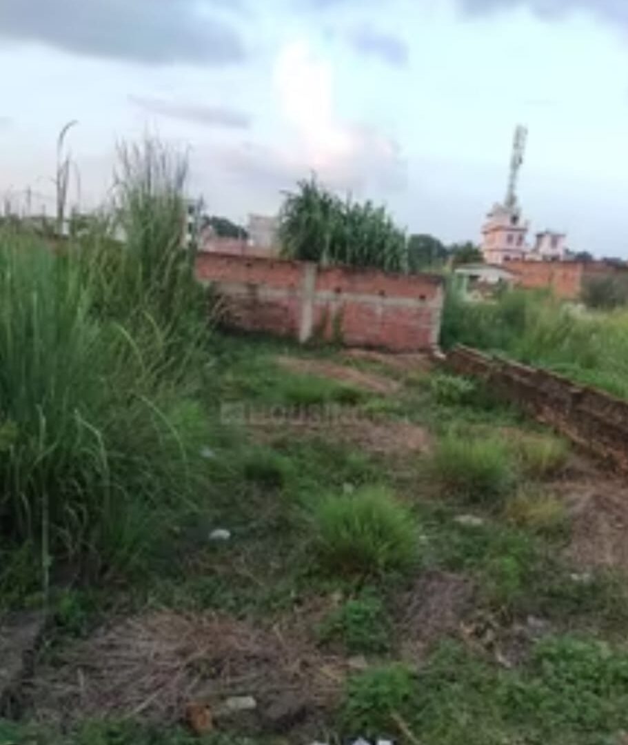 Plot